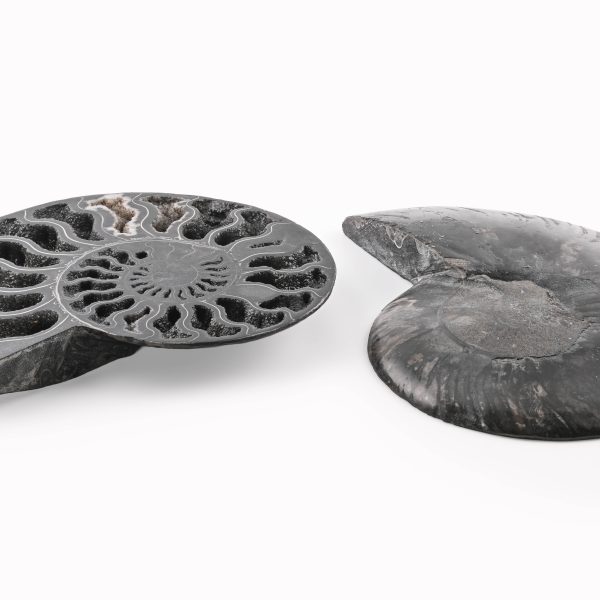 Black Ammonite Fossil With Calcite Polished Halves From Madagascar