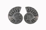Black Ammonite Fossil With Calcite Polished Halves From Madagascar - Image 4