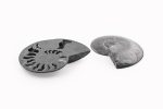 Black Ammonite Fossil With Calcite & Pyrite Polished Halves From Madagascar - Image 2