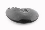 Black Ammonite Fossil With Calcite Polished Whole Specimen From Madagascar - Image 2