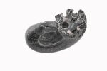 Black Ammonite Fossil With Calcite Polished Whole Specimen From Madagascar - Image 5