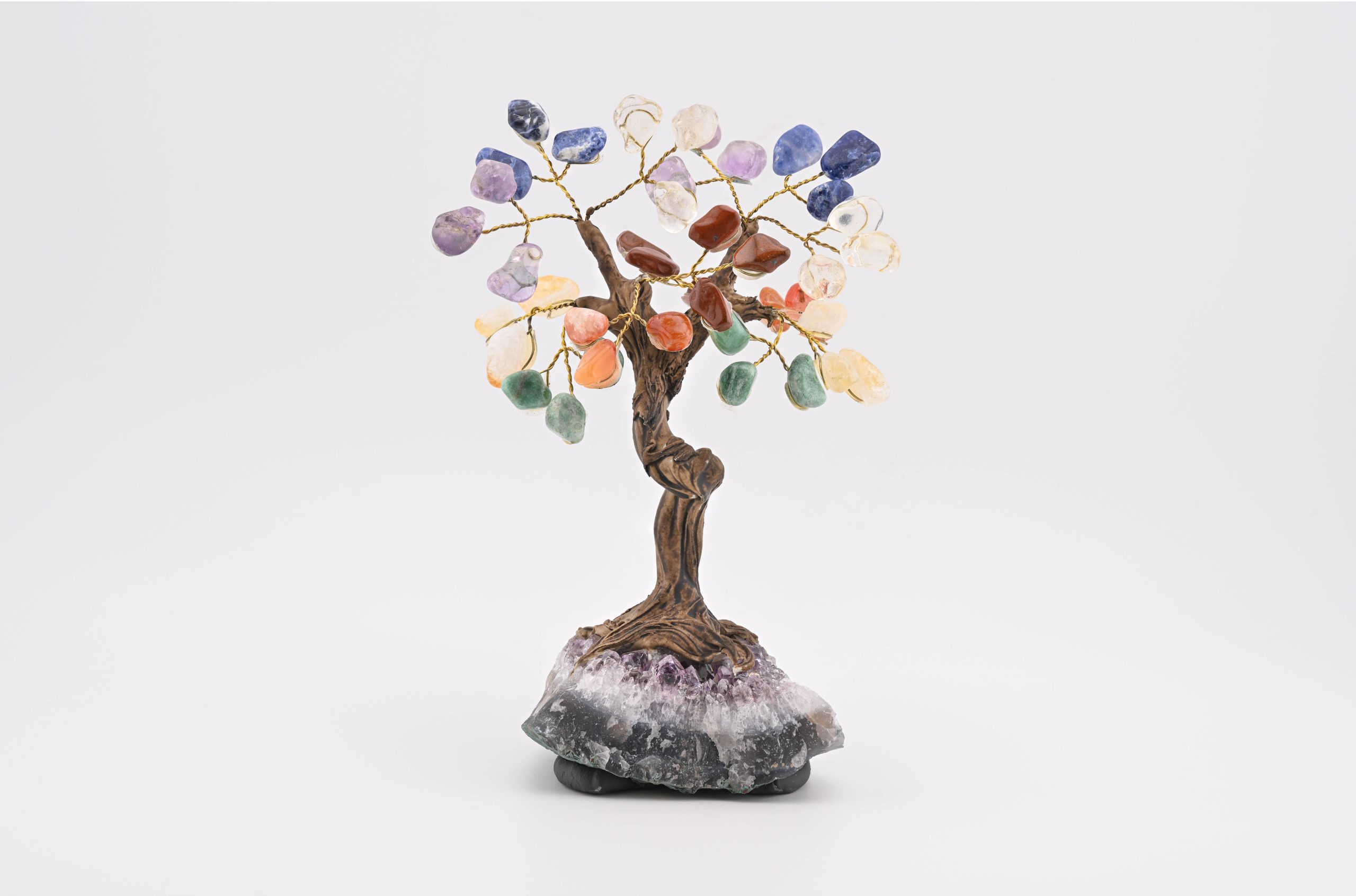 CHA-LGT-CHAKRA-TUMBLE-STONES-AND-AMETHYST-CLUSTER-BASE-GEM-TREE-RAINBOW-PURPLE-BRAZIL-POLISHED-RAW-BACK-BAREFOOT-NATIVE.jpg CHAKRA STONES (AMETHYST, CITRINE, AVENTURINE, SODALITE, QUARTZ, R. JASPER & CARNELIAN) ON AMETHYST BASE GEM TREE FROM BRAZIL - Image 1
