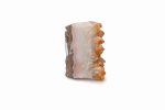 Citrine With Calcite Crystal Cluster With Cut Base From Brazil - Image 3