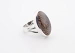 Dinosaur Bone Apatosaurus - 100 Mya (Ut, Usa) Large Polished Stone On 0.925 Sterling Silver Ring Size - 7 Oval Stone