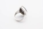 Dinosaur Bone Apatosaurus - 100 Mya (Ut, Usa) Large Polished Stone On 0.925 Sterling Silver Ring Size - 5.75 Pear Stone - Image 5