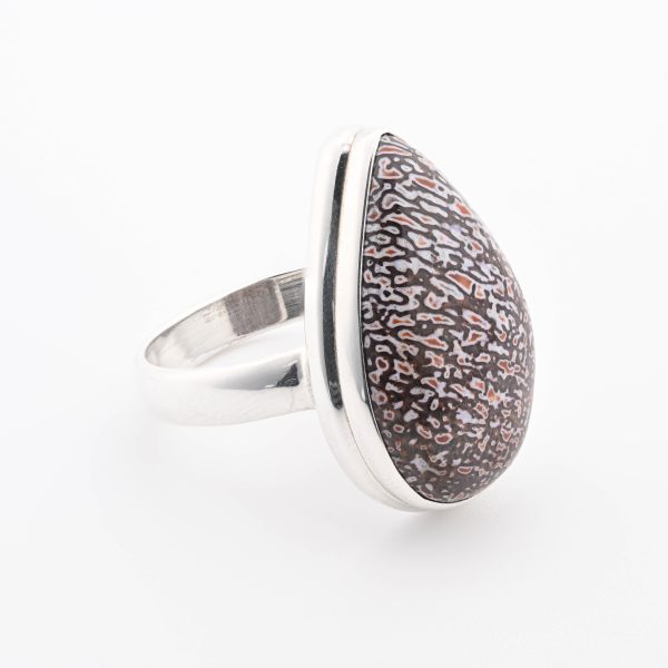 Dinosaur Bone Apatosaurus - 100 Mya (Ut, Usa) Large Polished Stone On 0.925 Sterling Silver Ring Size - 8.75 Pear Stone