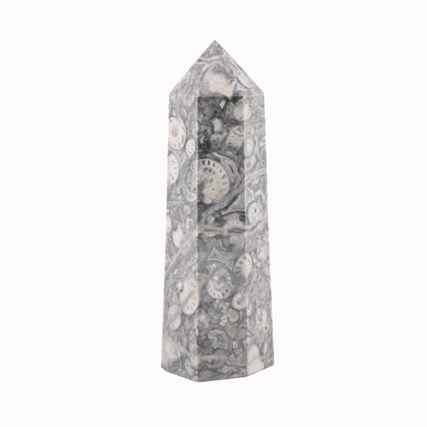 Ammonite & Orthoceras Fossil Polished Tower Point From Morocco 1.75 Lbs