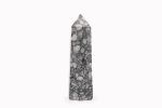 Ammonite & Orthoceras Fossil Polished Tower Point From Morocco 1.92 Lbs - Image 3