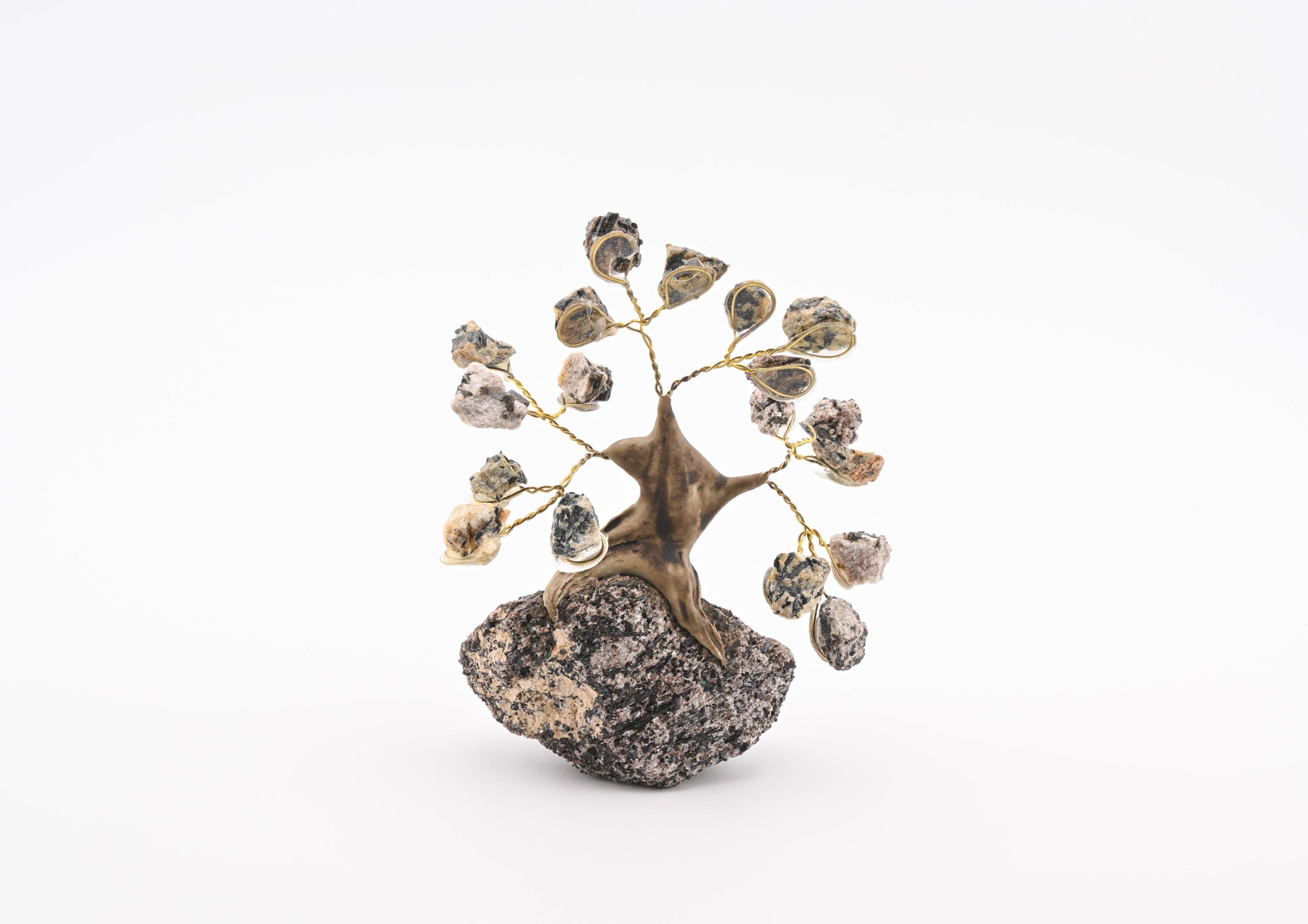 MGT-BS-BARITE-AND-SCHIST-CHIP-AND-BASE-GEM-TREE-BLACK-BROWN-BRAZIL-RAW-BACK-BAREFOOT-NATIVE.jpg Miniature Crystal Bonsai Gem Tree From Brazil - Biotite Mica Schist On Biotite Mica Schist From Brazil - Image 1