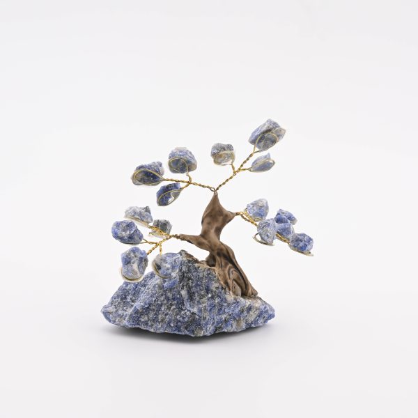 Miniature Crystal Bonsai Gem Tree From Brazil - Dumortierite Blue Quartzite On Dumortierite Blue Quartzite From Brazil