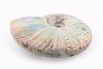 Rainbow Ammonite Fossil With Calcite Polished Whole Specimen From Madagascar - Image 2